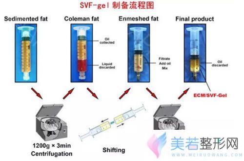 脂肪胶制备流程图