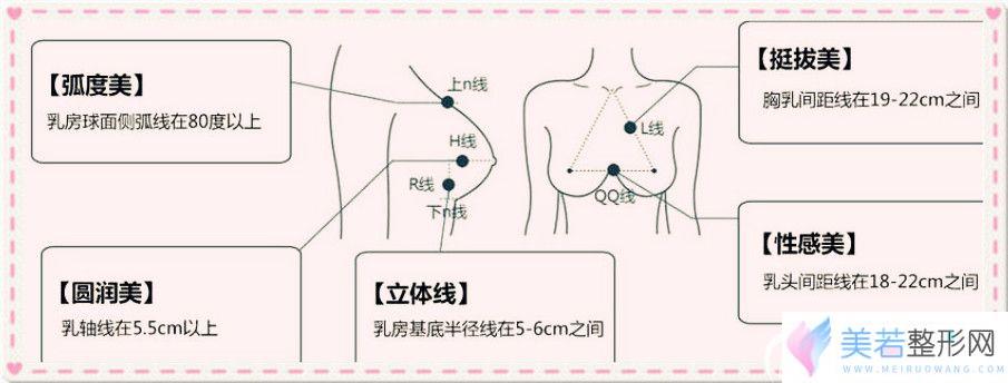 胸部黄金比例