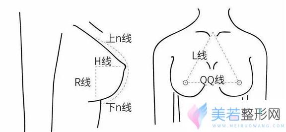 乳房重量