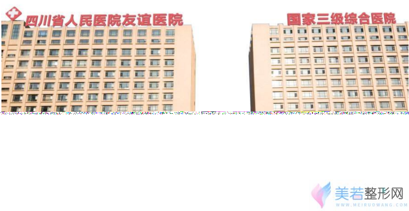 四川友谊