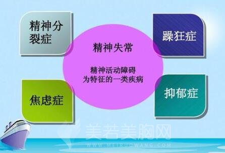 精神分裂病人或精神失常者