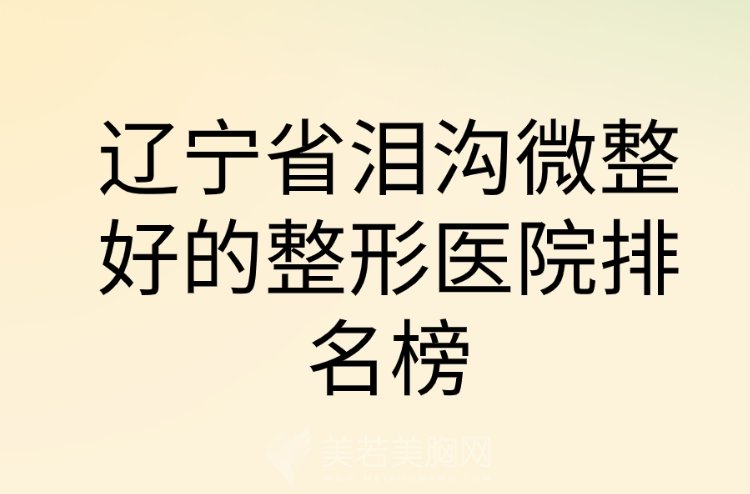 扒出!辽宁省泪沟微整好的整形医院排名榜