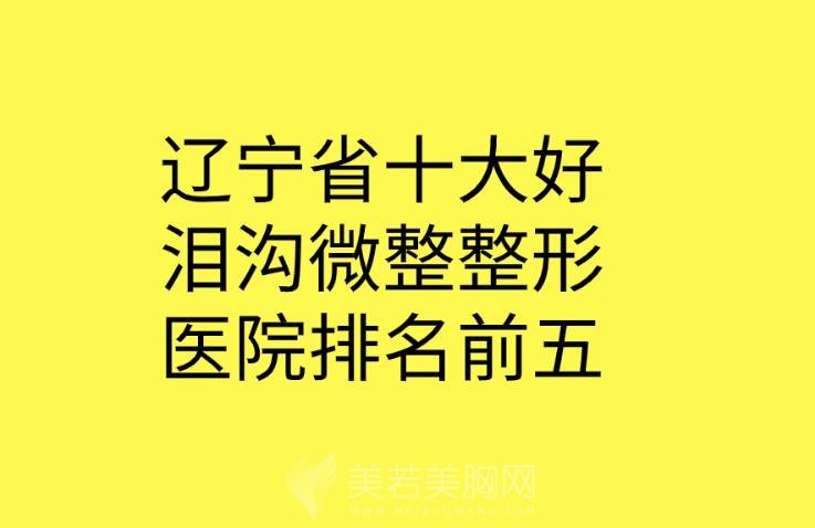 辽宁省十大好泪沟微整整形医院排名前五