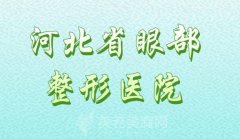 河北省眼部整形医院哪家好？汇集医院排名来了