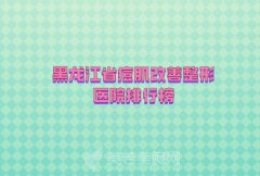 黑龙江省痘肌改善整形医院排行榜，top10强权威更新