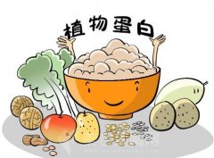 丰胸食品有哪些？脂肪和蛋白质对丰胸有效